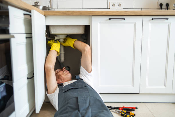 Best Garbage Disposal Repair and Installation  in Rolla, MO